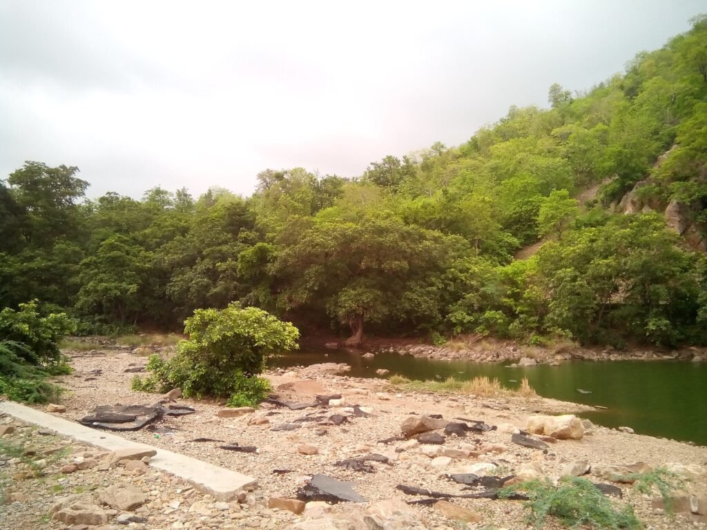 Polo Forest landscape in Sabarkantha, Gujarat